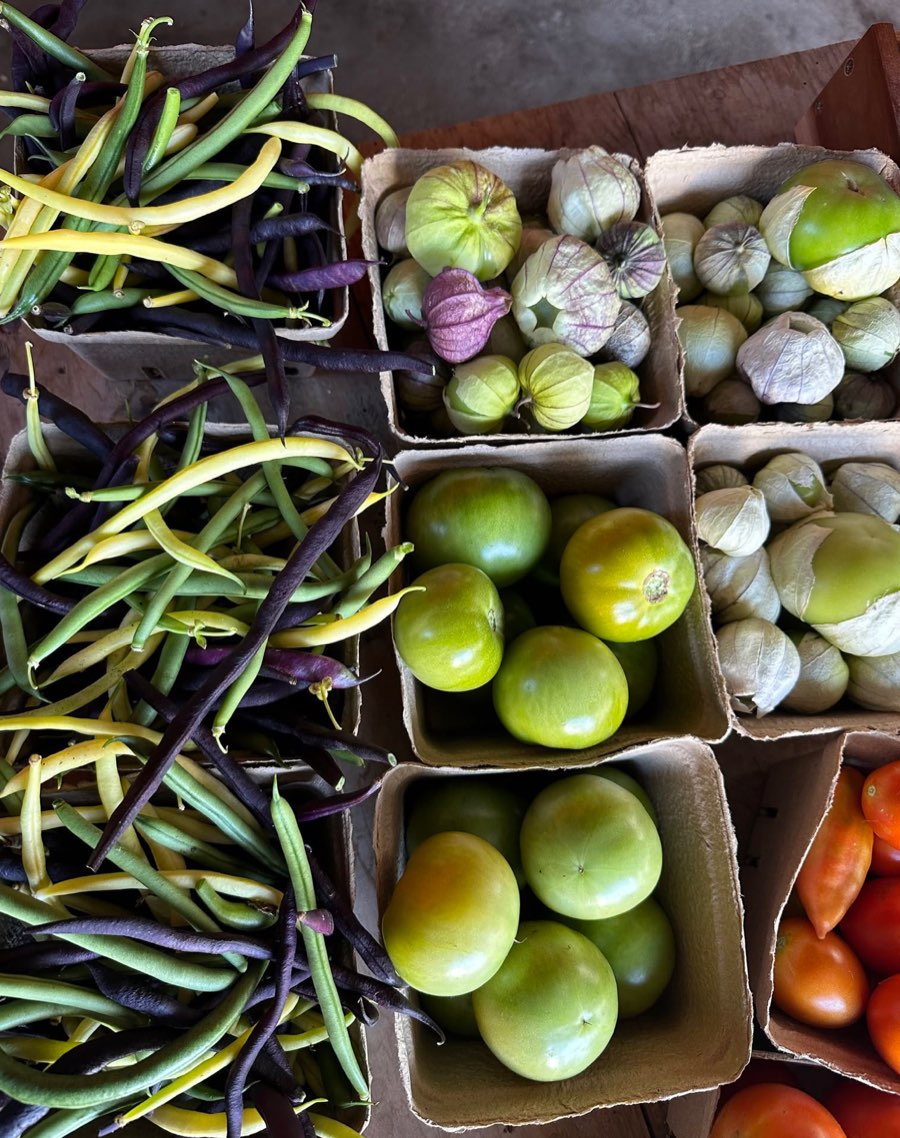 Fresh beans, tomatillos and tomatoes sorted into cardboard cartons.